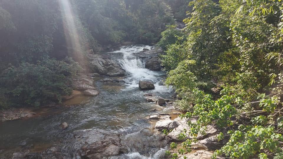 Vibhavadi Waterfall 9-Tier Jungle Small Group Experience Adventure photo 3