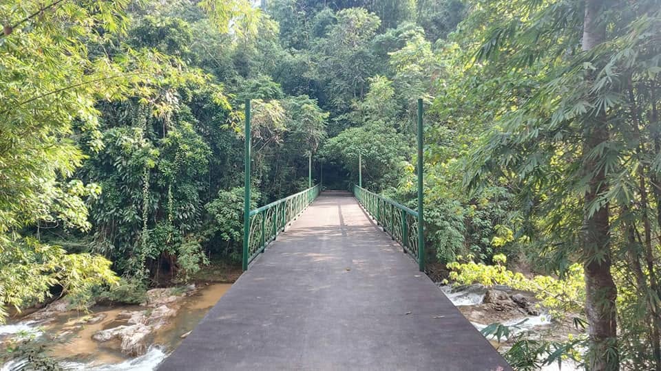 Vibhavadi Waterfall 9-Tier Jungle Small Group Experience Adventure photo 2